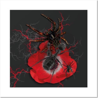 Spiders, Ants and Poppy Posters and Art